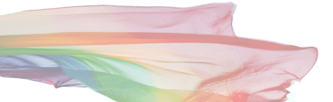 Pink Pages Massachusetts community groups
